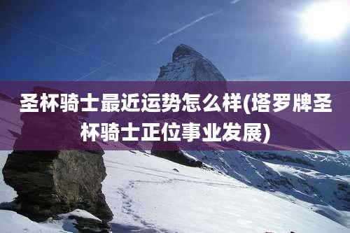 圣杯骑士最近运势怎么样(塔罗牌圣杯骑士正位事业发展)