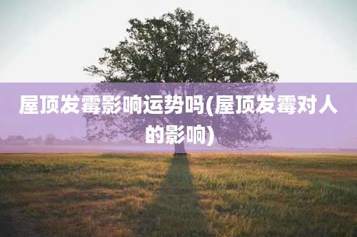 屋顶发霉影响运势吗(屋顶发霉对人的影响)