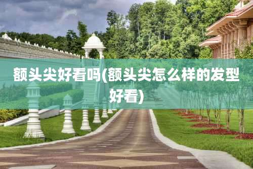 额头尖好看吗(额头尖怎么样的发型好看)