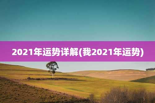 2021年运势详解(我2021年运势)