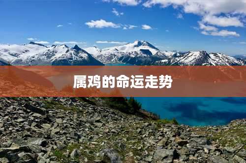 属鸡的命运走势