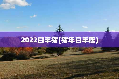 2022白羊猪(猪年白羊座)