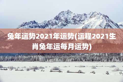 兔年运势2021年运势(运程2021生肖兔年运每月运势)