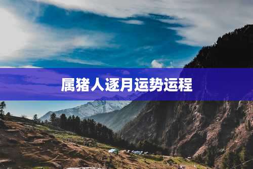 属猪人逐月运势运程