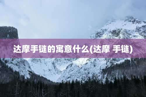 达摩手链的寓意什么(达摩 手链)