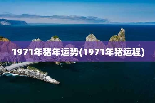 1971年猪年运势(1971年猪运程)