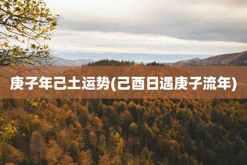 庚子年己土运势(己酉日遇庚子流年)