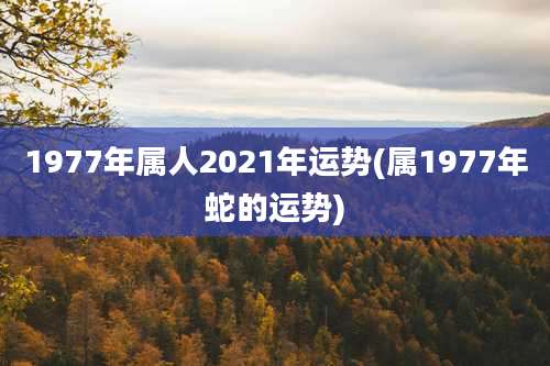 1977年属人2021年运势(属1977年蛇的运势)
