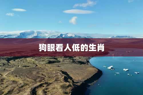 狗眼看人低的生肖