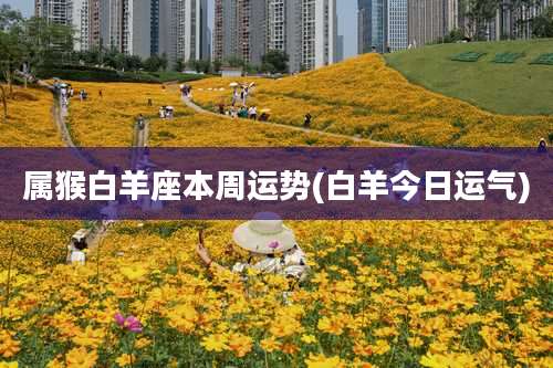 属猴白羊座本周运势(白羊今日运气)