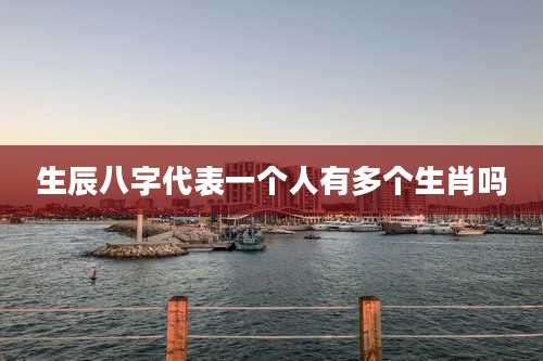 生辰八字代表一个人有多个生肖吗