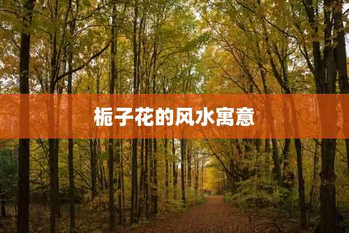 栀子花的风水寓意