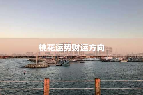 桃花运势财运方向