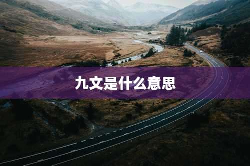 九文是什么意思