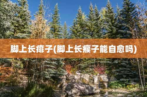脚上长痱子(脚上长瘊子能自愈吗)