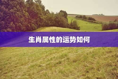 生肖属性的运势如何