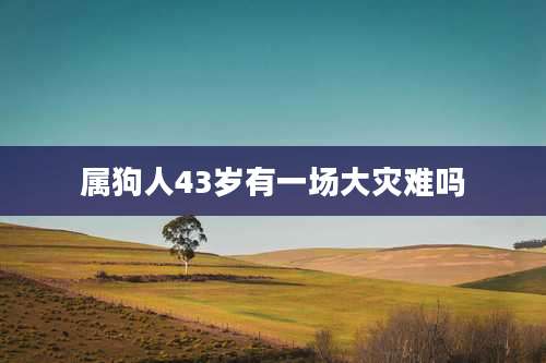 属狗人43岁有一场大灾难吗