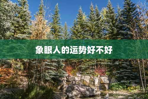 象眼人的运势好不好