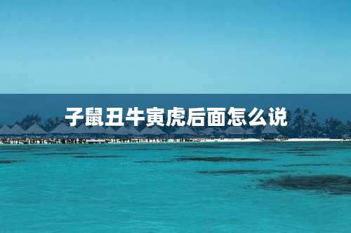 子鼠丑牛寅虎后面怎么说