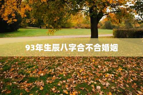 93年生辰八字合不合婚姻