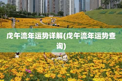 戊午流年运势详解(戊午流年运势查询)