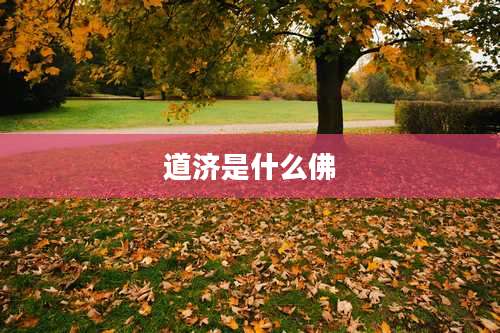 道济是什么佛