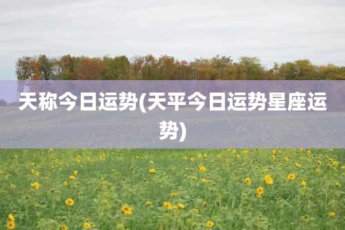 天称今日运势(天平今日运势星座运势)