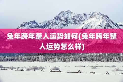 兔年跨年整人运势如何(兔年跨年整人运势怎么样)