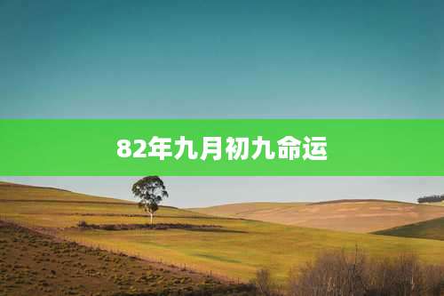 82年九月初九命运
