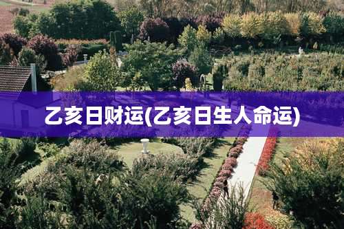 乙亥日财运(乙亥日生人命运)