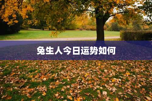 兔生人今日运势如何