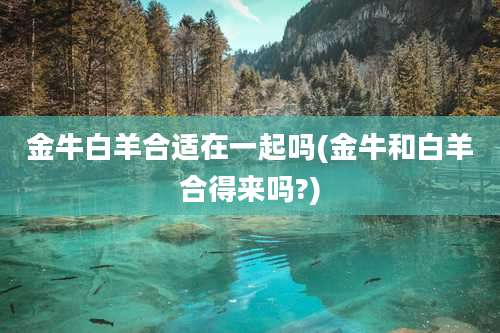 金牛白羊合适在一起吗(金牛和白羊合得来吗?)