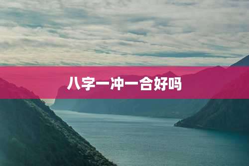 八字一冲一合好吗