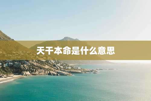 天干本命是什么意思