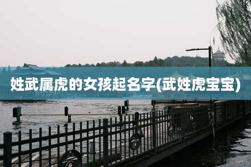 姓武属虎的女孩起名字(武姓虎宝宝)