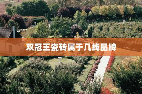 双冠王瓷砖属于几线品牌