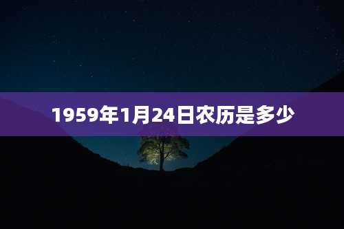 1959年1月24日农历是多少