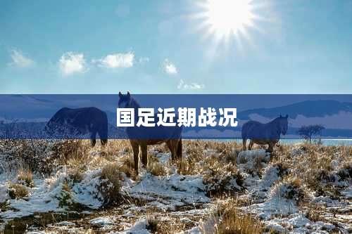 国足近期战况