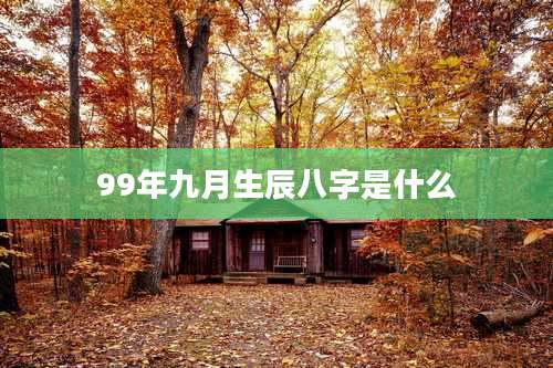 99年九月生辰八字是什么