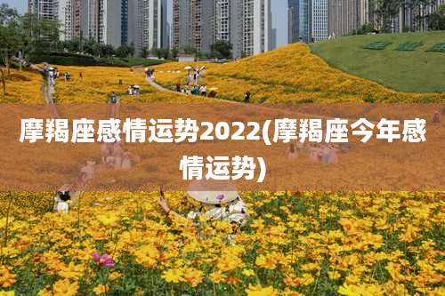 摩羯座感情运势2022(摩羯座今年感情运势)