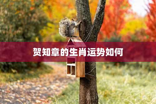 贺知章的生肖运势如何