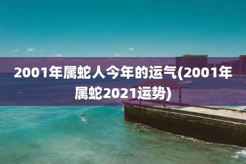 2001年属蛇人今年的运气(2001年属蛇2021运势)