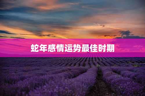 蛇年感情运势最佳时期