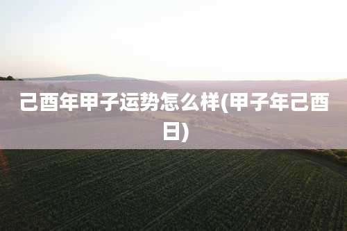 己酉年甲子运势怎么样(甲子年己酉日)