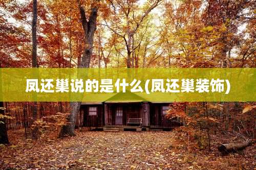 凤还巢说的是什么(凤还巢装饰)