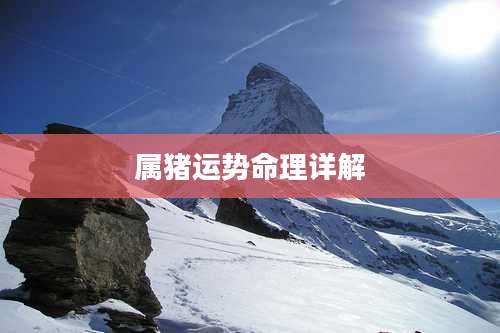 属猪运势命理详解