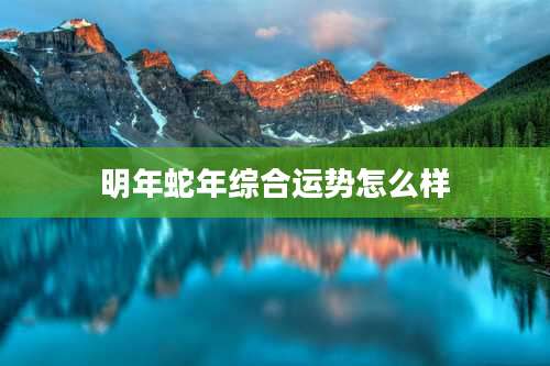 明年蛇年综合运势怎么样