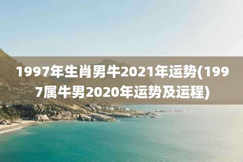 1997年生肖男牛2021年运势(1997属牛男2020年运势及运程)