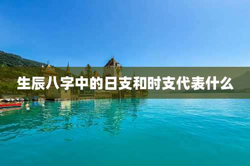 生辰八字中的日支和时支代表什么