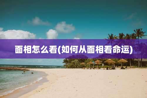面相怎么看(如何从面相看命运)